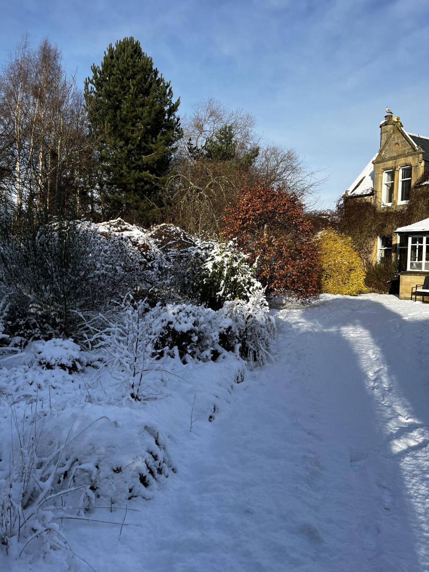 St Duthus Villa Guesthouse Tain Exteriör bild